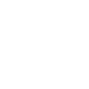 safe connect connecteert dropbox