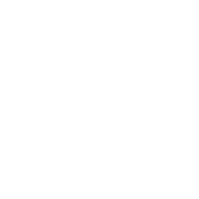 safe connect connecteert excel